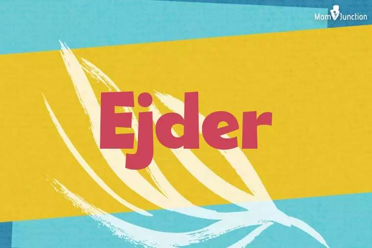 Ejder Stylish Wallpaper