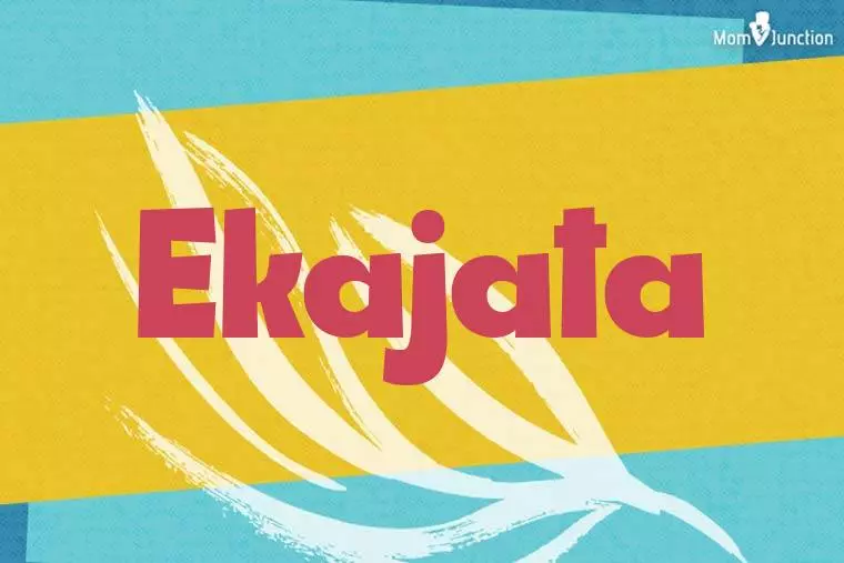 Ekajata Stylish Wallpaper