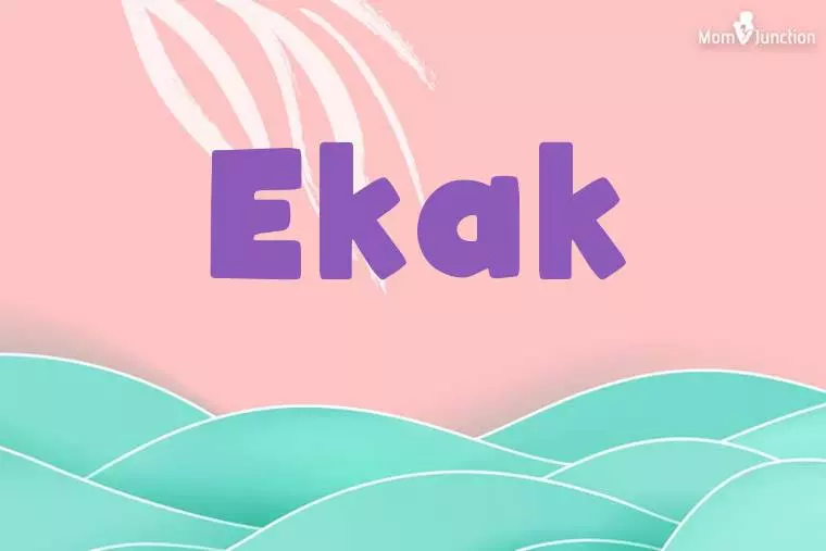 Ekak Stylish Wallpaper