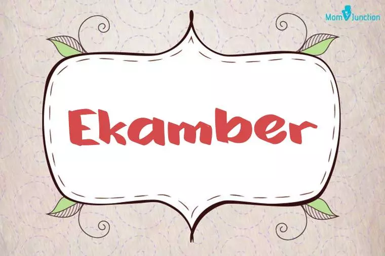 Ekamber Stylish Wallpaper