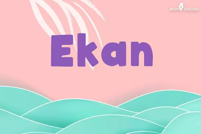 Ekan Stylish Wallpaper