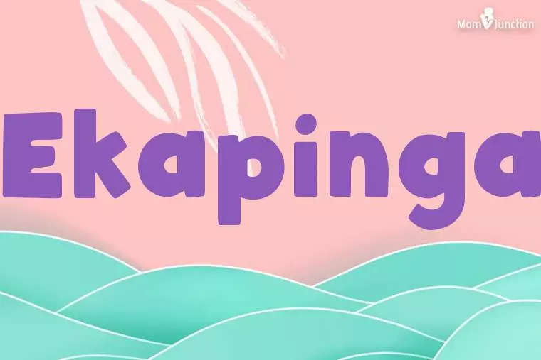 Ekapinga Stylish Wallpaper