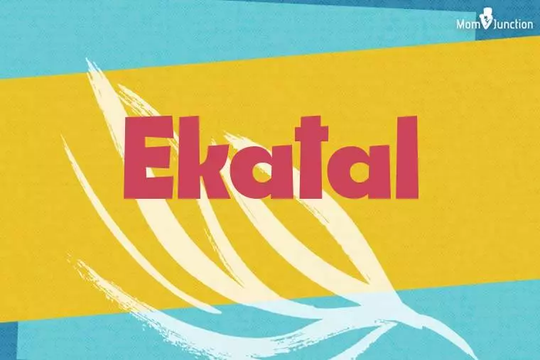 Ekatal Stylish Wallpaper