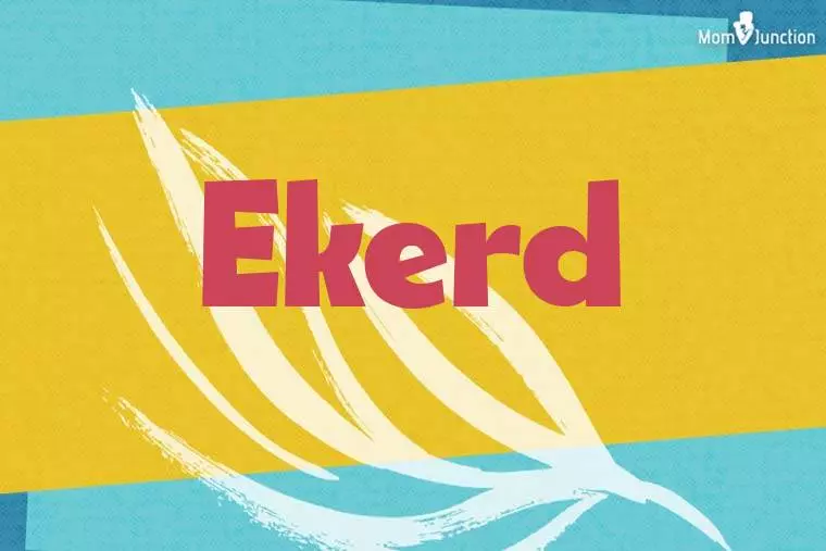 Ekerd Stylish Wallpaper