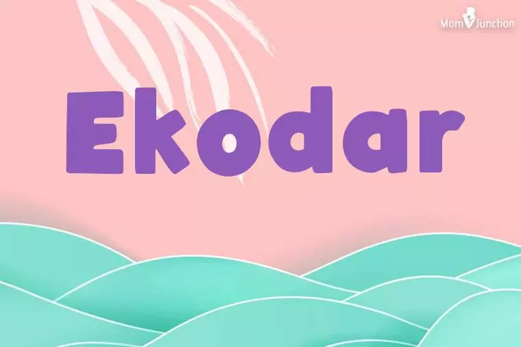 Ekodar Stylish Wallpaper