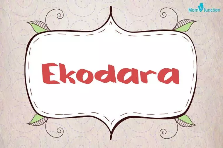 Ekodara Stylish Wallpaper