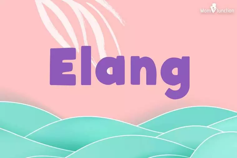 Elang Stylish Wallpaper