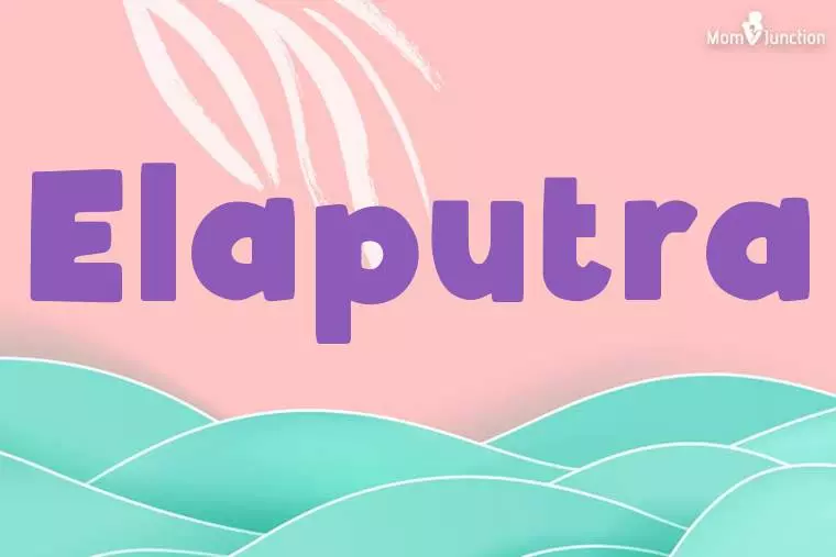 Elaputra Stylish Wallpaper