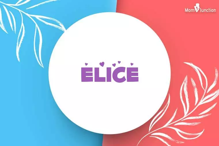 Elice Stylish Wallpaper