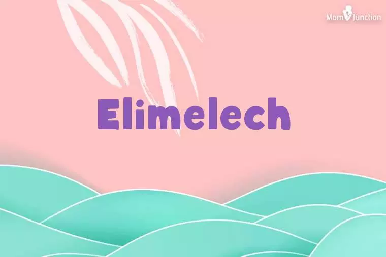 Elimelech Stylish Wallpaper