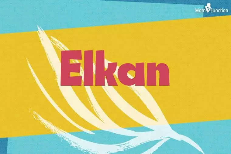 Elkan Stylish Wallpaper