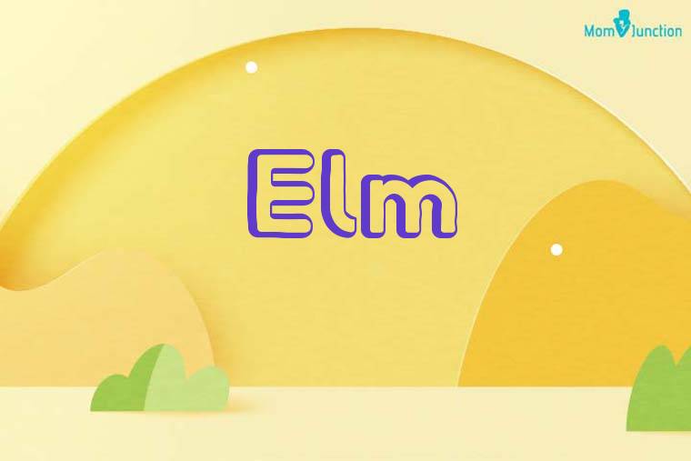 Elm 3D Wallpaper