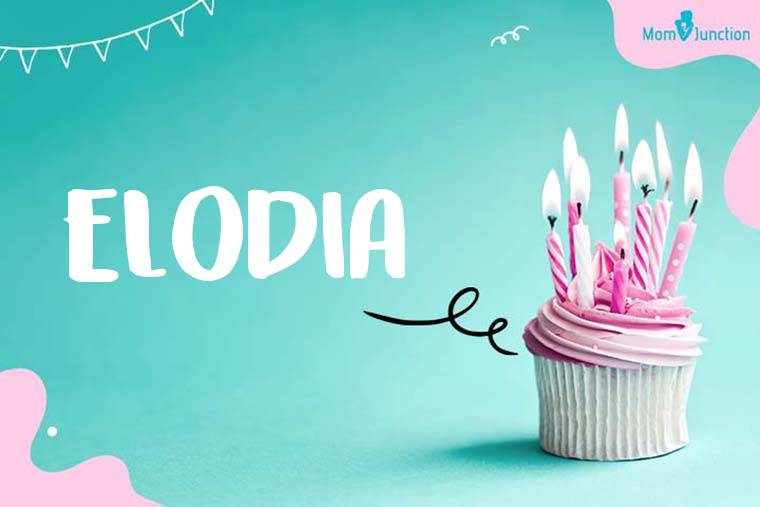 Elodia Birthday Wallpaper