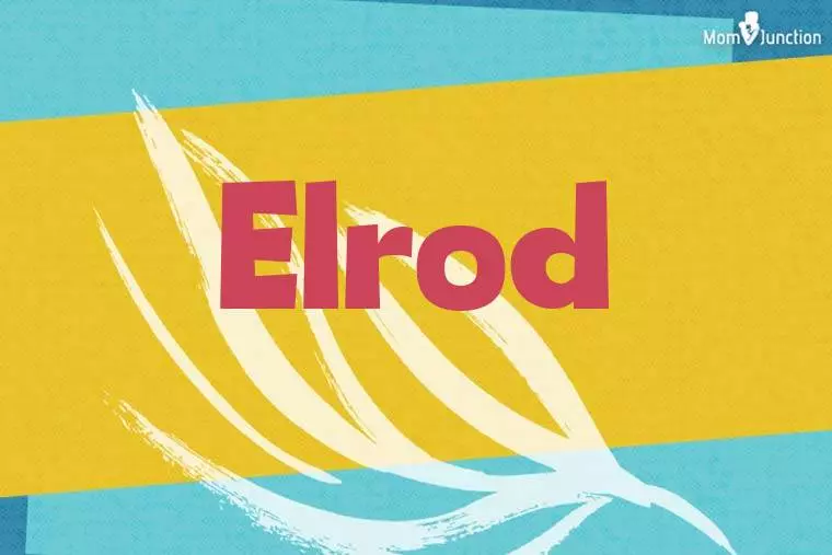 Elrod Stylish Wallpaper