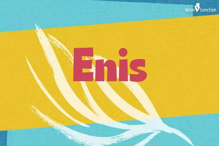 Enis Stylish Wallpaper