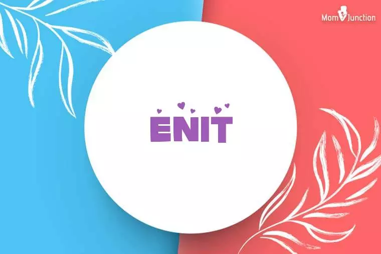 Enit Stylish Wallpaper