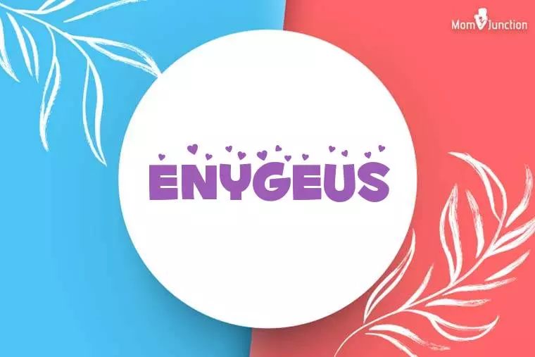 Enygeus Stylish Wallpaper