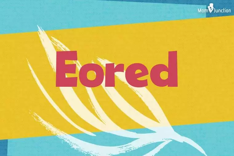 Eored Stylish Wallpaper