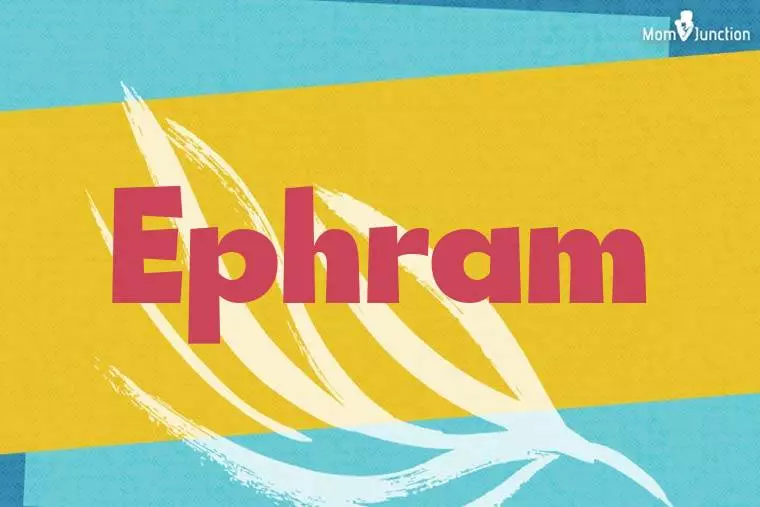 Ephram Stylish Wallpaper