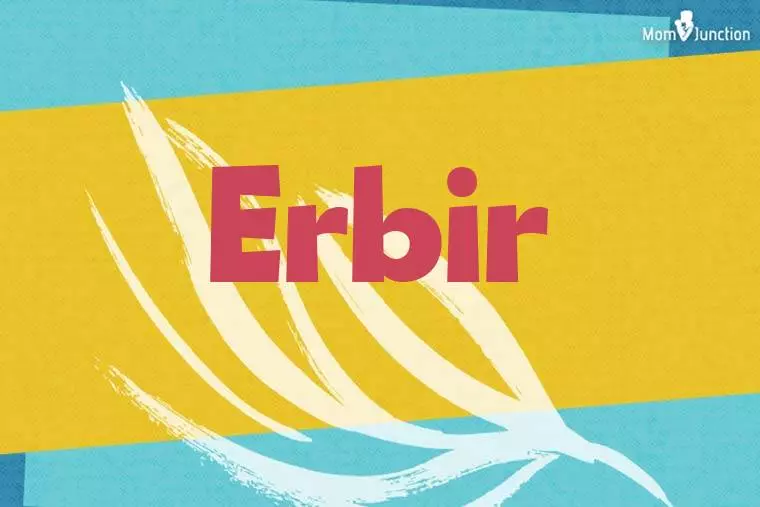 Erbir Stylish Wallpaper