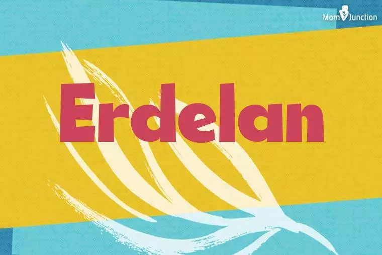 Erdelan Stylish Wallpaper