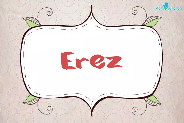 Erez Stylish Wallpaper