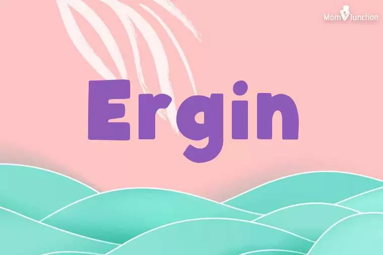 Ergin Stylish Wallpaper