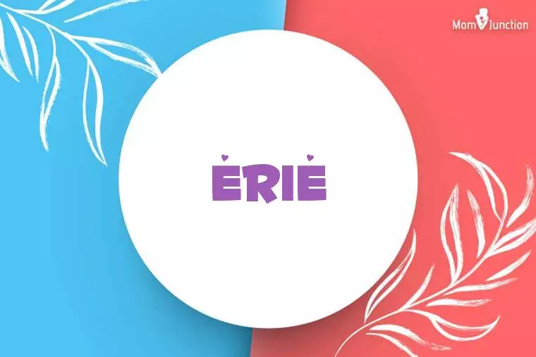 Erie Stylish Wallpaper