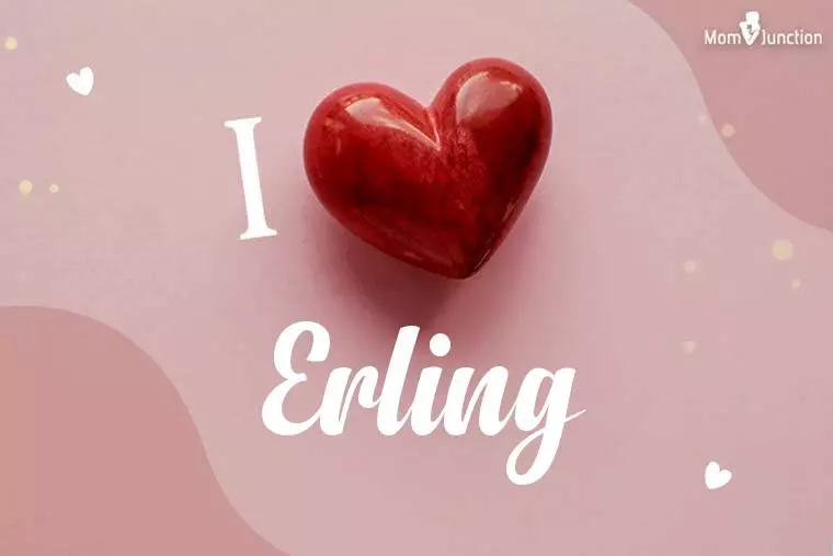 I Love Erling Wallpaper