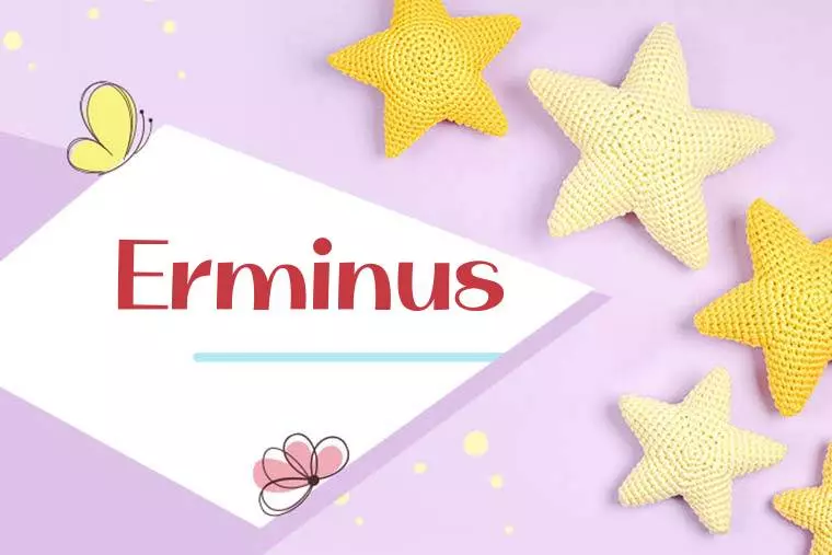 Erminus Stylish Wallpaper