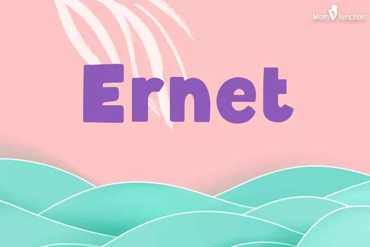 Ernet Stylish Wallpaper