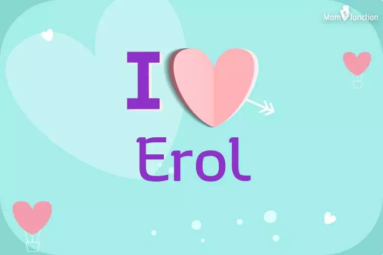 I Love Erol Wallpaper