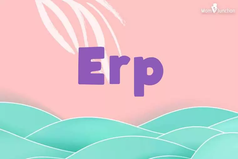 Erp Stylish Wallpaper