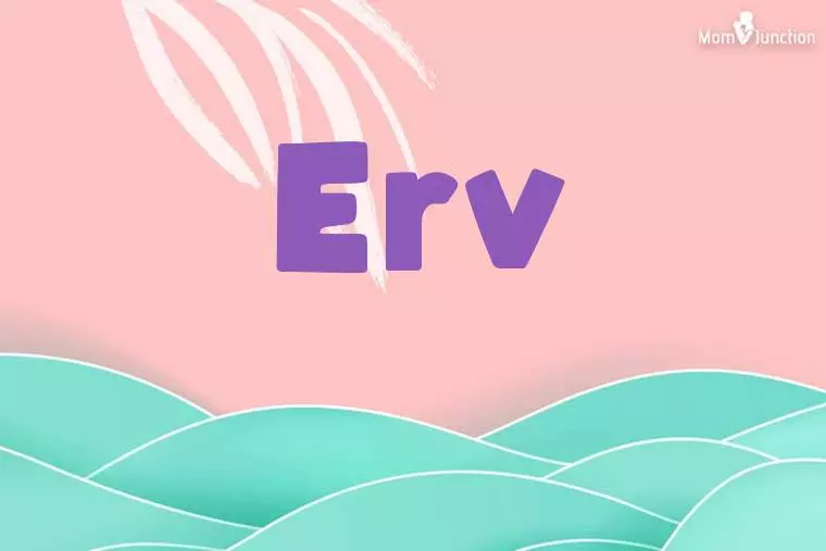 Erv Stylish Wallpaper