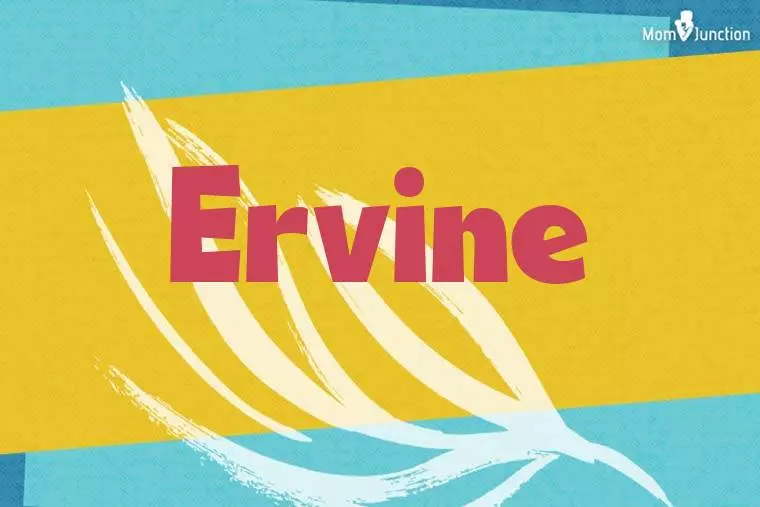 Ervine Stylish Wallpaper