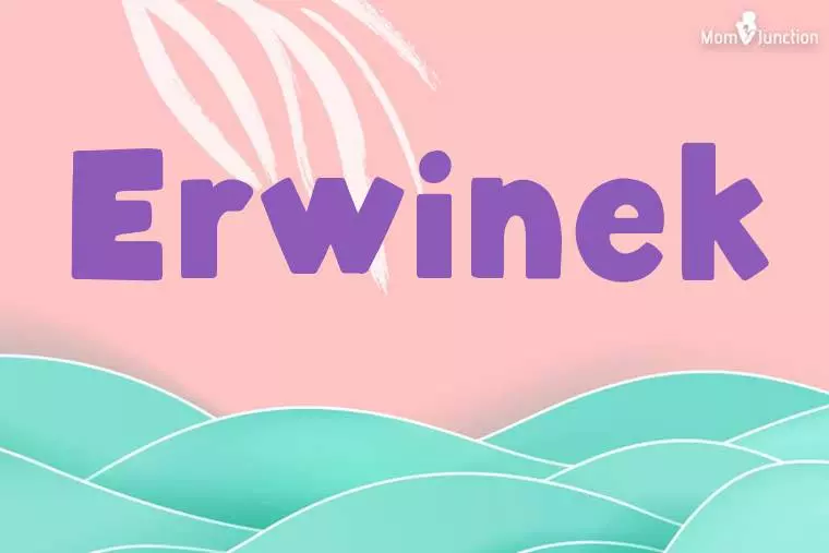 Erwinek Stylish Wallpaper