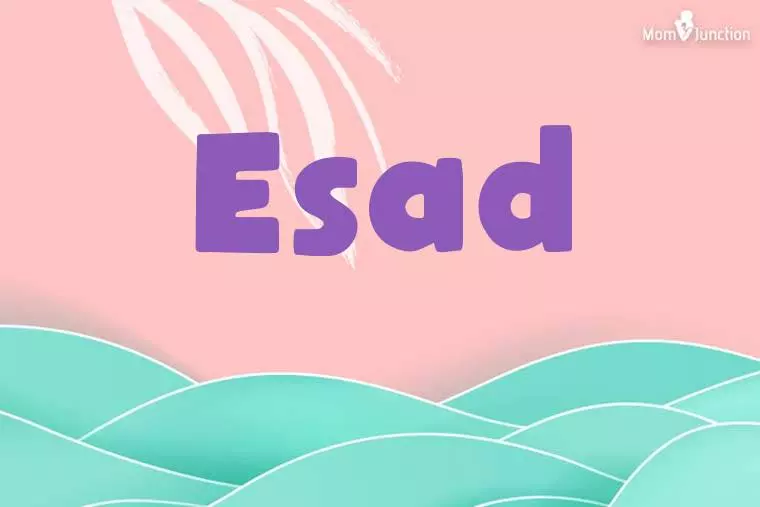 Esad Stylish Wallpaper