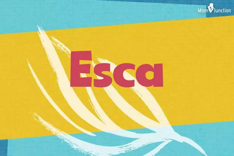 Esca Stylish Wallpaper