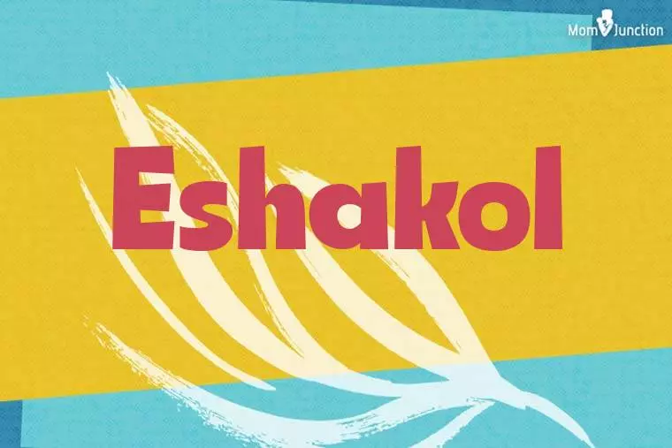 Eshakol Stylish Wallpaper