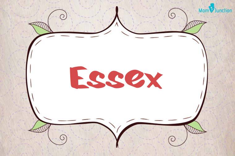 Essex Stylish Wallpaper