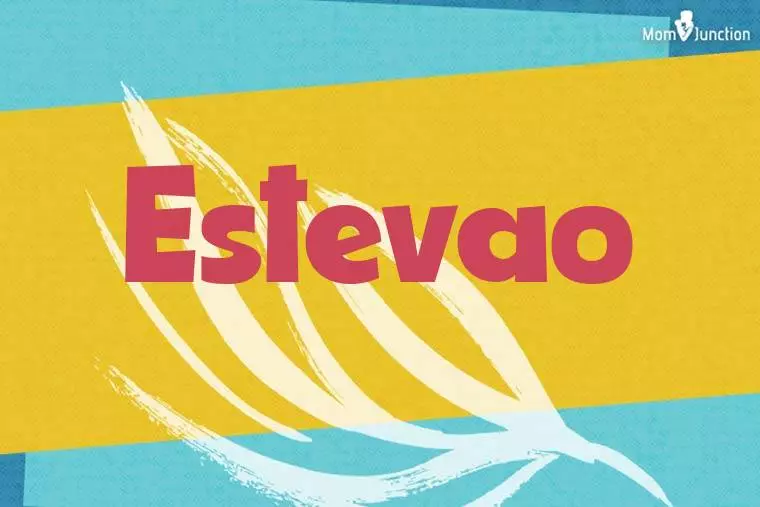 Estevao Stylish Wallpaper