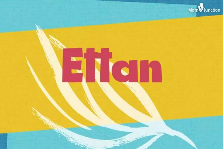 Ettan Stylish Wallpaper