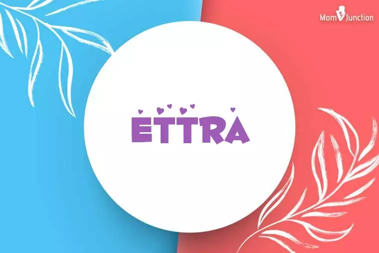 Ettra Stylish Wallpaper