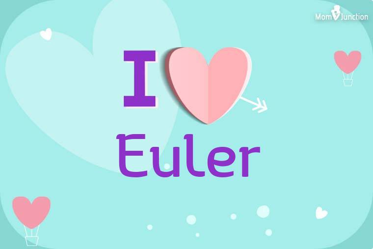 I Love Euler Wallpaper