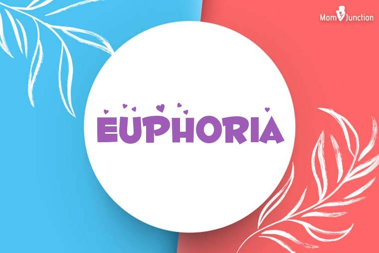 Euphoria Stylish Wallpaper
