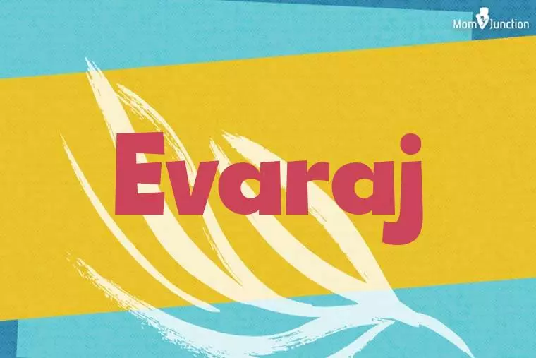 Evaraj Stylish Wallpaper