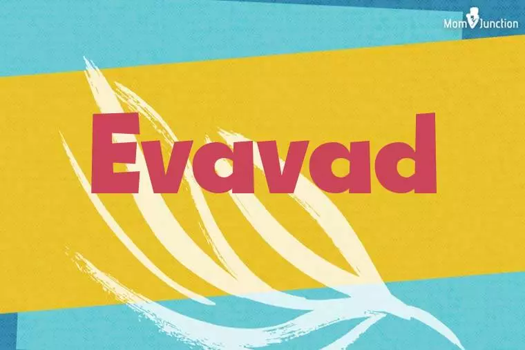 Evavad Stylish Wallpaper