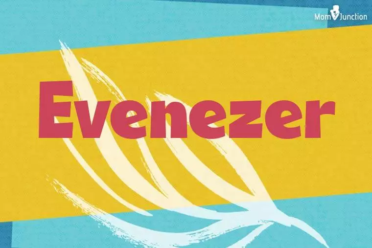 Evenezer Stylish Wallpaper