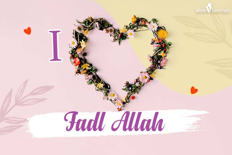 I Love Fadl Allah Wallpaper