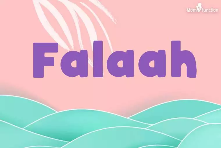 Falaah Stylish Wallpaper